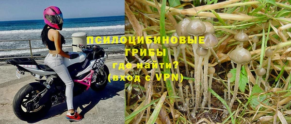 герыч Алзамай
