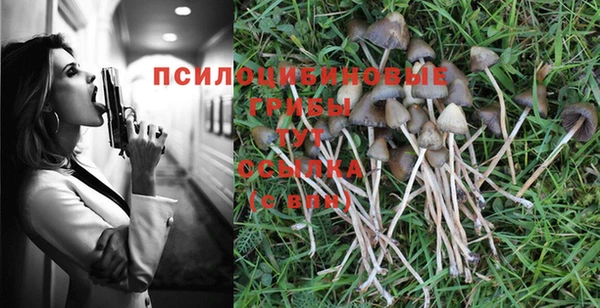 герыч Алзамай