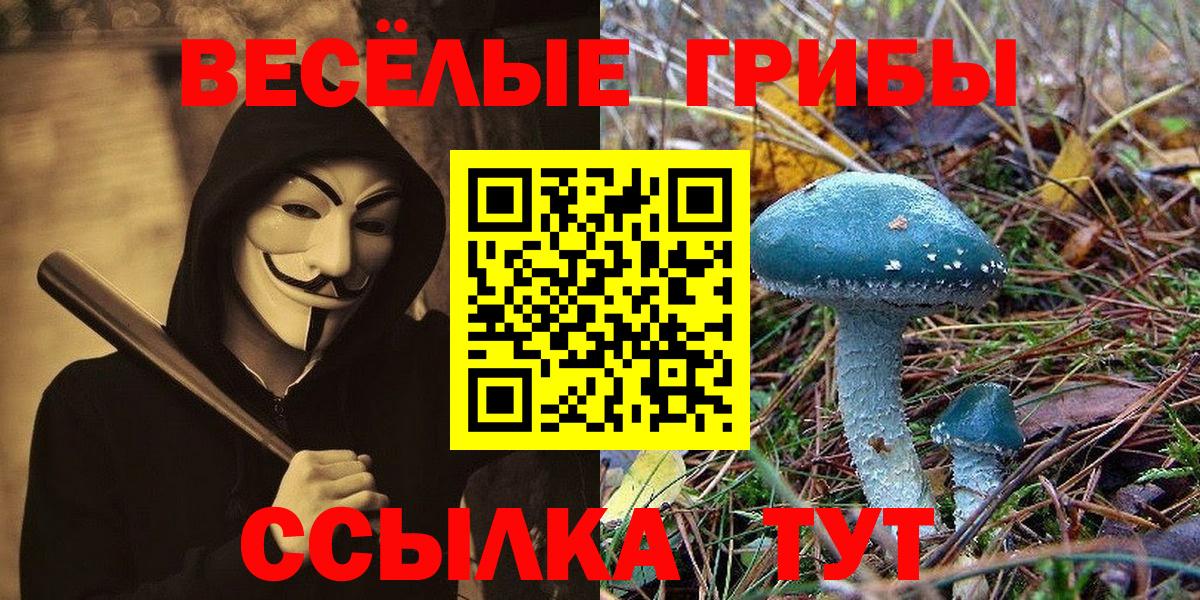 Галлюциногенные грибы Magic Shrooms Мегион